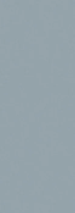 Schulte 2 panneaux muraux de salle de bains l.90x255 cm, gris argenté, DécoDesign