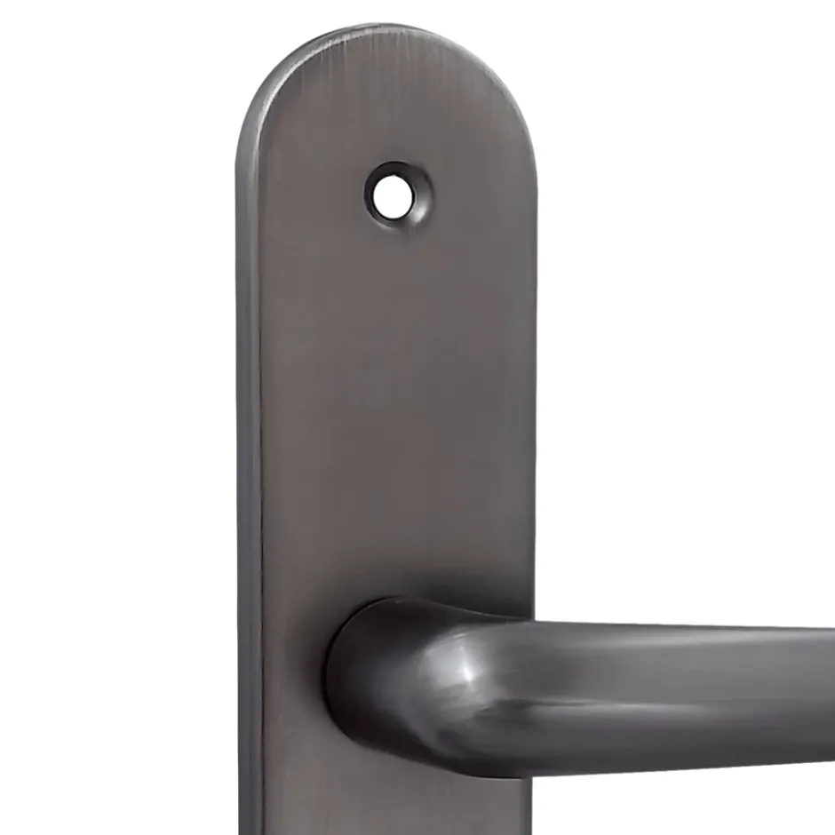 2 poignées de porte sur plaque rond Amga, entraxe 195mm, coloris titane