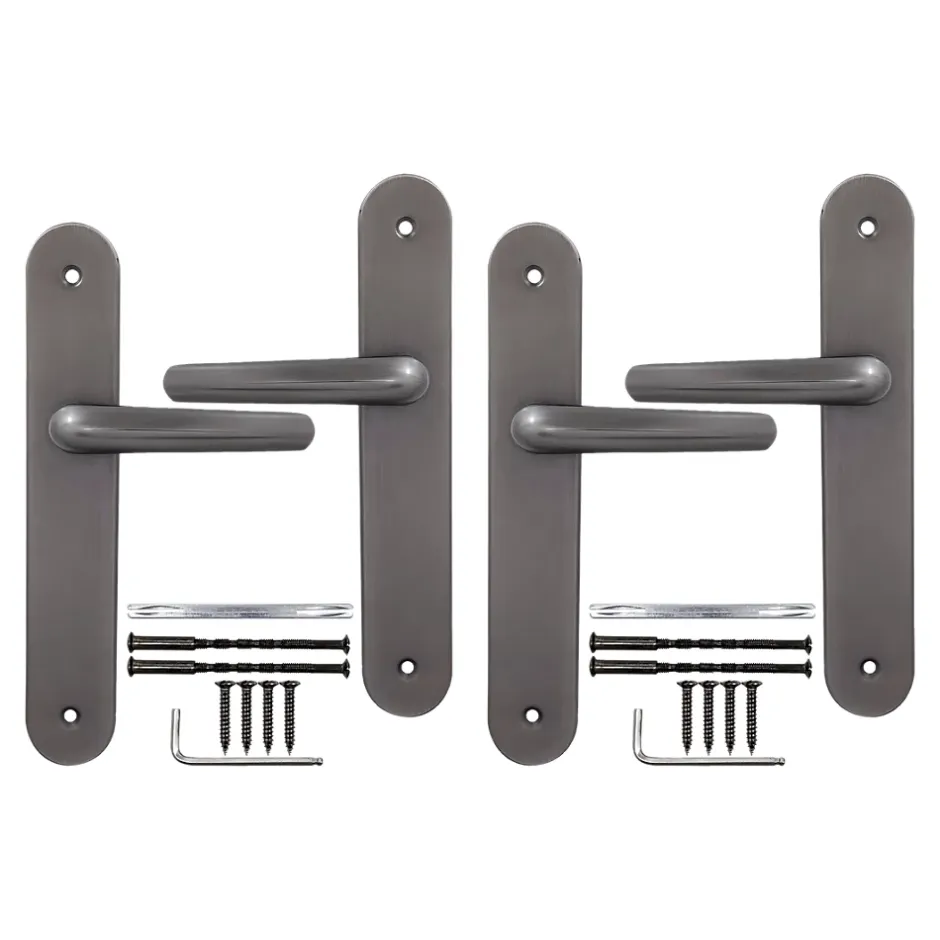 2 poignées de porte sur plaque rond Amga, entraxe 195mm, coloris titane