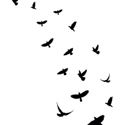 15 stickers oiseaux anti-collision translucide 50 x 50 cm-Ambiance Sticker Discount