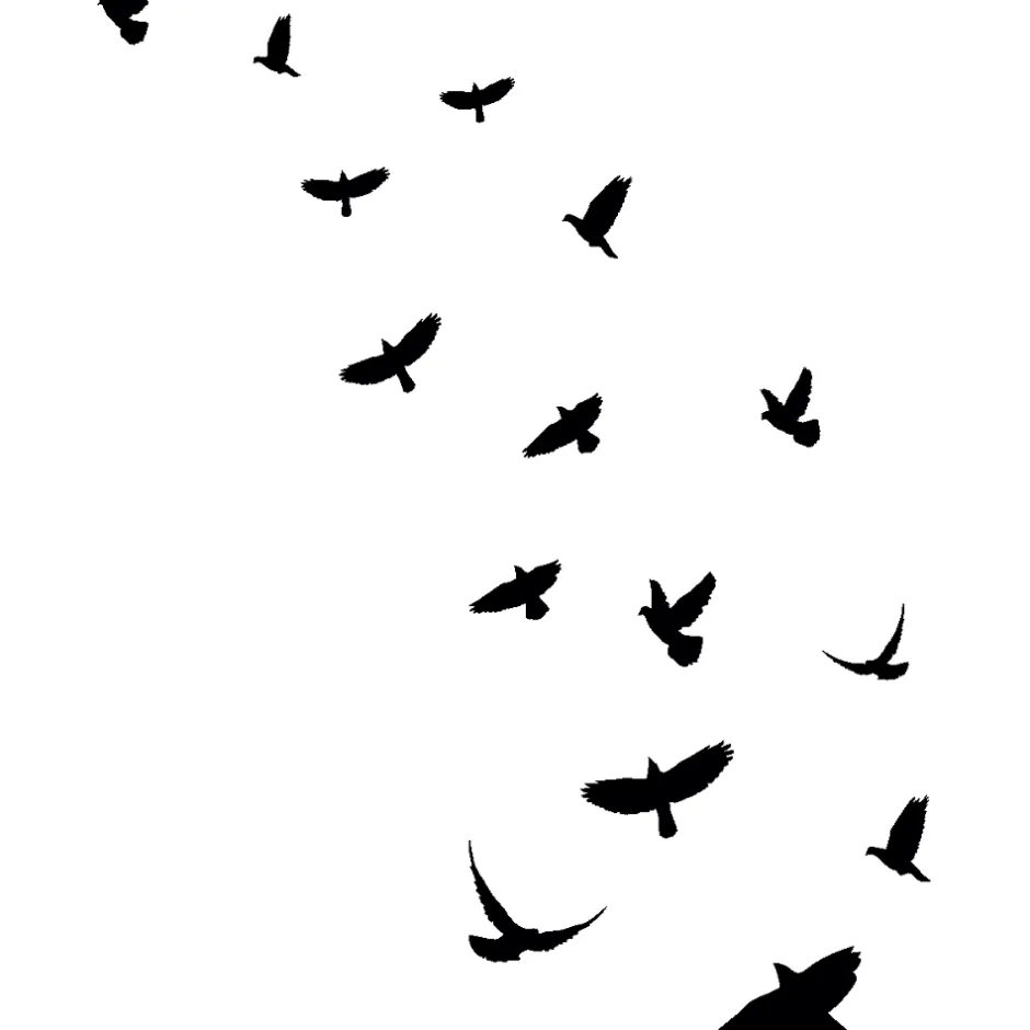 15 stickers oiseaux anti-collision translucide 95 x 95 cm-Ambiance Sticker