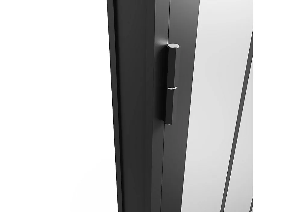 Vente-unique Bloc porte réversible en aluminium et verre trempé dépoli style atelier - H204 x L73 cm - Noir - ERMELO