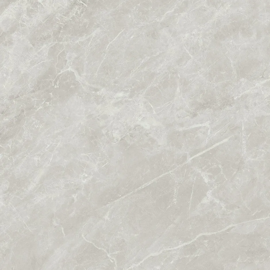 Tinker Carrelage Aspect marbre Lumos gris poli 80x80 cm