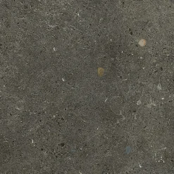 Energie Ker Carrelage Brera R11 : adhérence élevée Board - ADZ 60 x 60cm ( vendu par boite de 1,44 m² )