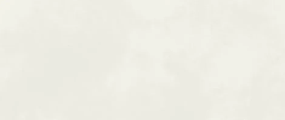 Carrelage effet Béton Blanc Lin 120x50x0,85 cm Mat Cortivo - Mur intérieur (vendu par carton de 1,8 m²) --Ro'Ma Carrelage Online