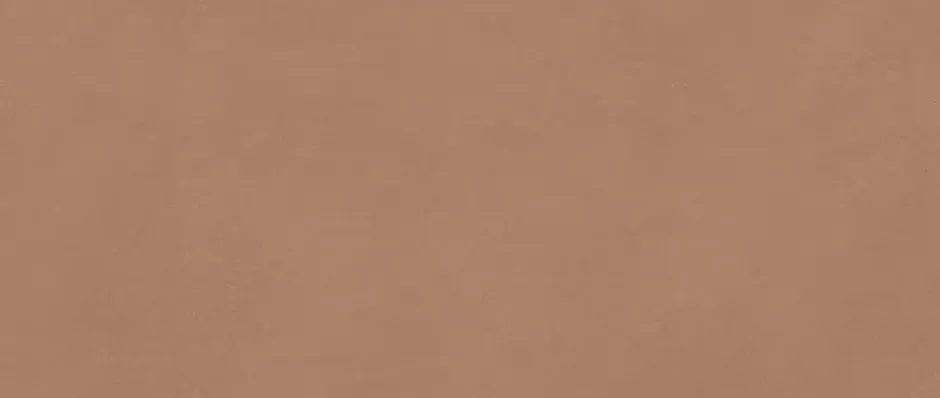 Ro'Ma Carrelage Carrelage effet Béton Brun Argile 120x50x0,85 cm Mat Stavira - Mur intérieur (vendu par carton de 1,8 m²) -