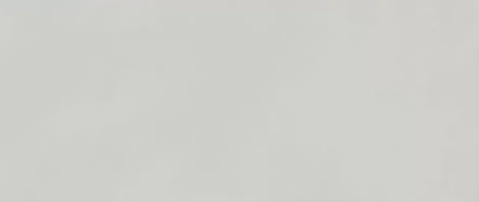 Ro'Ma Carrelage Carrelage effet Béton Gris Lune 120x50x0,85 cm Mat Cortivo - Mur intérieur (vendu par carton de 1,8 m²) -