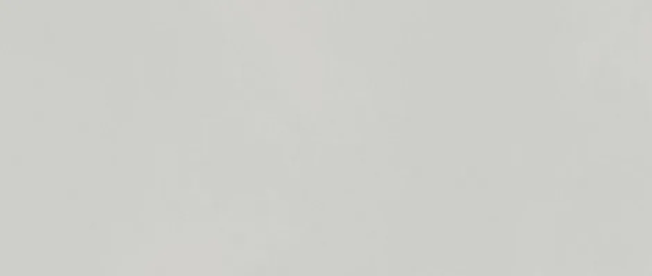 Ro'Ma Carrelage Carrelage effet Béton Gris Lune 120x50x0,85 cm Mat Cortivo - Mur intérieur (vendu par carton de 1,8 m²) -