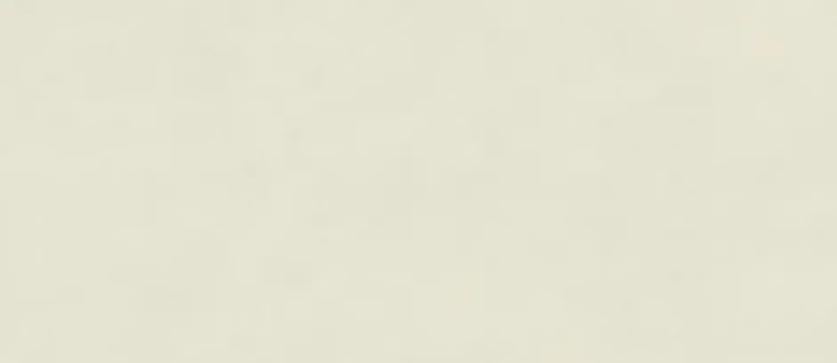 Carrelage effet Béton Vert Amande 278x120x0,6 cm Mat Cortivo - Mur intérieur (vendu par carton de 3,336 m²) --Ro'Ma Carrelage Sale