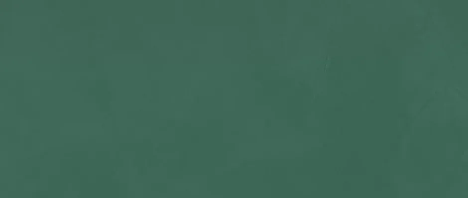 Ro'Ma Carrelage Carrelage effet Enduit Vert Pin 120x50x0,85 cm Mat Calviro - Mur intérieur (vendu par carton de 1,8 m²) -