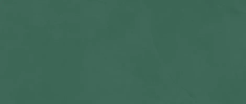 Ro'Ma Carrelage Carrelage effet Enduit Vert Pin 120x50x0,85 cm Mat Calviro - Mur intérieur (vendu par carton de 1,8 m²) -