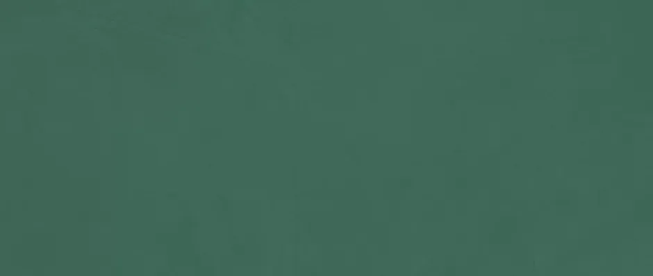 Ro'Ma Carrelage Carrelage effet Enduit Vert Pin 120x50x0,85 cm Mat Calviro - Mur intérieur (vendu par carton de 1,8 m²) -