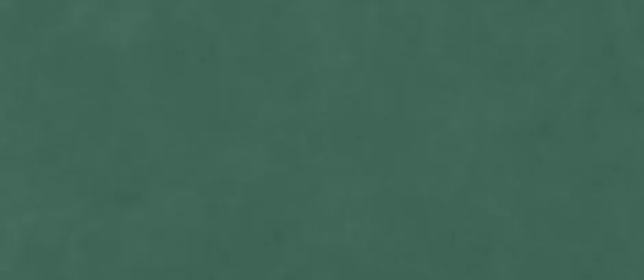 Carrelage effet Enduit Vert Pin 278x120x0,6 cm Mat Calviro - Mur intérieur (vendu par carton de 3,336 m²) --Ro'Ma Carrelage Sale