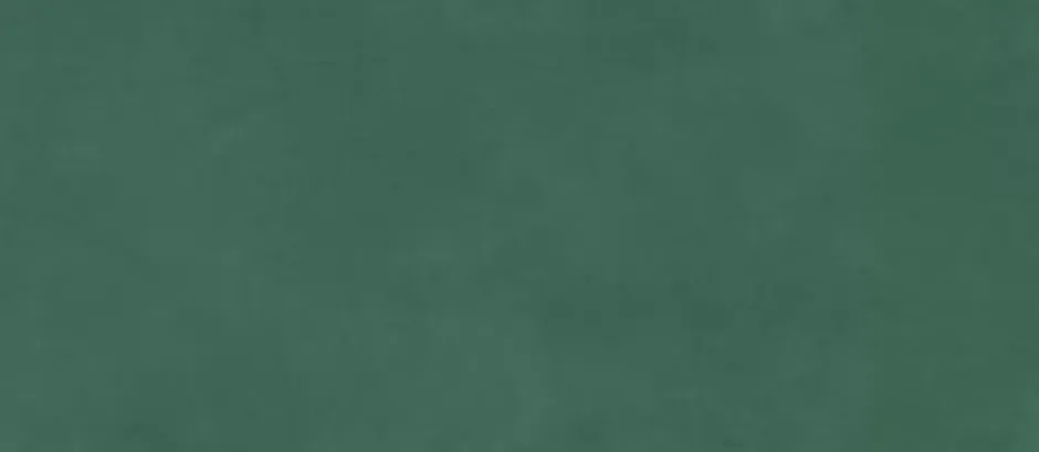 Carrelage effet Enduit Vert Pin 278x120x0,6 cm Mat Calviro - Mur intérieur (vendu par carton de 3,336 m²) --Ro'Ma Carrelage Sale