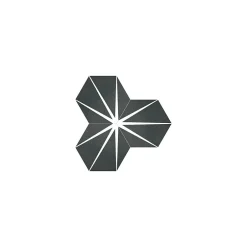 Gioia Materia Carrelage grès cérame effet graphique Hexagone STARLINE Hexagone 29x25 cm Noir - Naturel - boîte de 0.94 m2