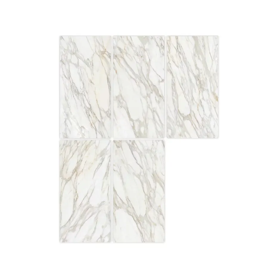 Gioia Materia Carrelage grès cérame effet marbre Borghini poli 120x120 cm Blanc - Brillant / Poli - boîte de 1.42 m2