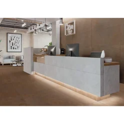 Gioia Materia Carrelage grès cérame effet métal ZINC 60x30 cm Marron - Naturel - boîte de 1.42 m2