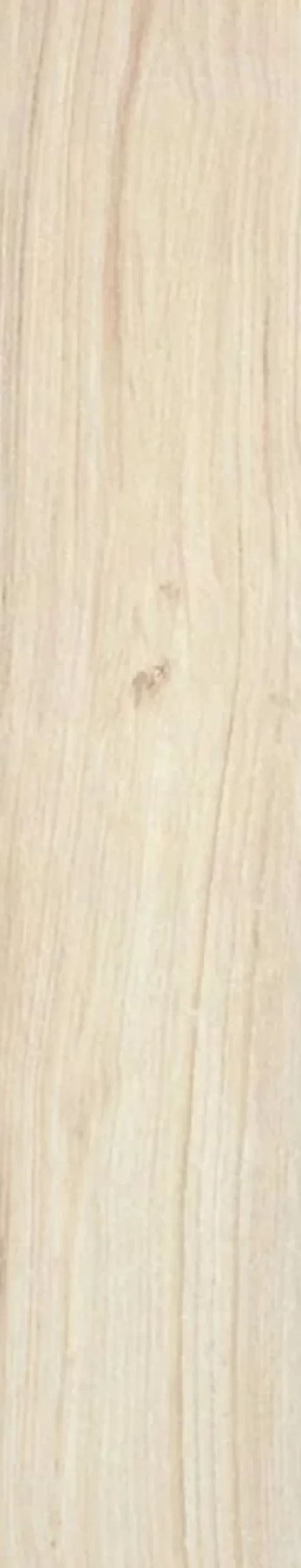 Vitacer Carrelage Milton Light - Mat 120 x 23cm ( vendu par boite de 1,12 m² )