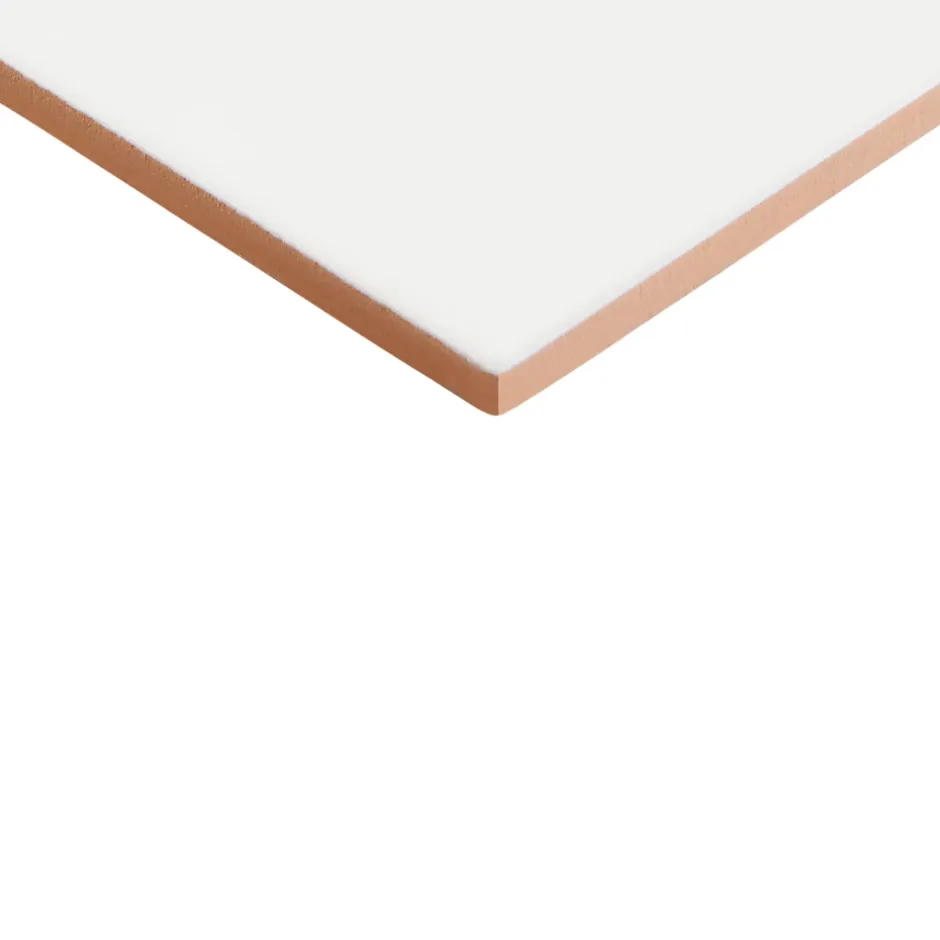 GoodHome Carrelage mural intérieur grès cérame émaillé mat blanc lisse L.60 x l.20 cm x ép.8,3 mm, Plain