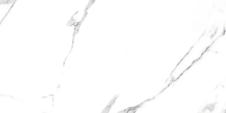 Carrelage rectifié pour sol ou mur intérieur ou extérieur 60 cm x 120 cm - Swiss White Grey-Ilcom Discount