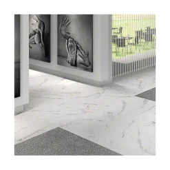 Aelle Carrelage Carrelage sol / mur effet marbre blanc 60x120 cm DONEY BLANCO