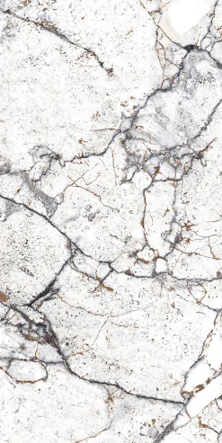 Limcaro Carrelage sol / mur effet marbre blanc STRATO l.60 x L.120 cm Brillant