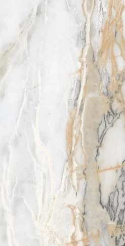 Limcaro Carrelage sol / mur effet marbre blanc CHINA GOLD l.60 x L.120 cm Brilliant