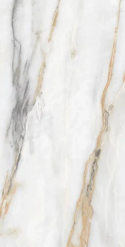 Limcaro Carrelage sol / mur effet marbre blanc CHINA GOLD l.60 x L.120 cm Brilliant