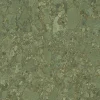 Aelle Carrelage Carrelage sol / mur effet terrazzo vert 60x60 cm GREEN GIADA