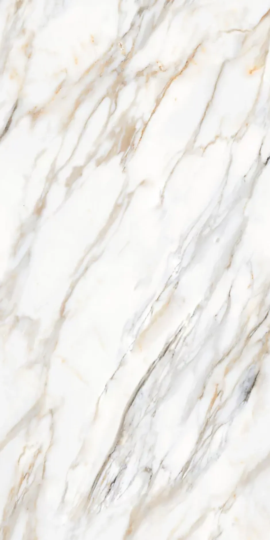 Limcaro Carrelage sol / mur effet marbre blanc ZEBRINO GOLD l.60 x L.120 cm Brillant