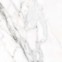 Aelle Carrelage Carrelage sol / mur effet marbre blanc 60x60 cm DONEY BLANCO