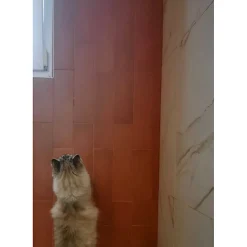 Aelle Carrelage Carrelage sol / mur pose baton rompu chevron uni orange mate STROMBOLI CANYON