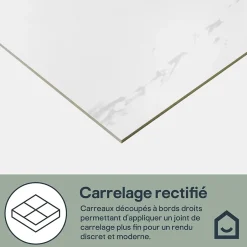 Carrelage sol et mur intérieur en grés cérame émaillé effet marbre blanc poli L.60 x l.60 cm x ép.9 mm, Ultimate Marble-GoodHome Outlet