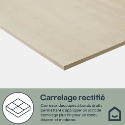 GoodHome Carrelage sol et mur intérieur beige effet pierre L.59,5 x l.59,5 cm x ép.9,5 mm, Kyat