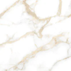 Carrelage sol et mur intérieur en grès cérame effet marbre blanc poli L.60 x l.60 cm x ép.9 mm, Fiordo Reve- Hot