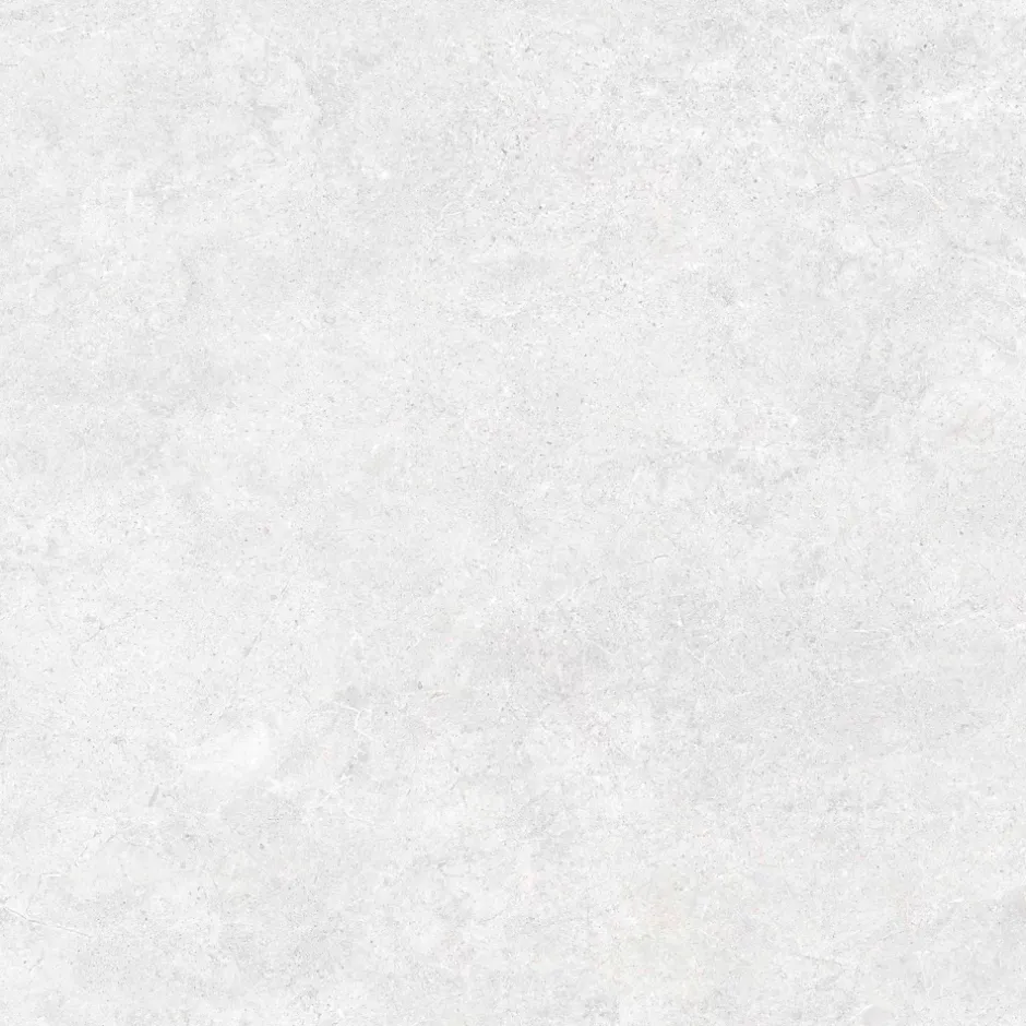 Ecoceramic Carrelage sol et mur intérieur en grès cérame émaillé effet pierre gris mat L.60 x l.60 cm x ép.8,5 mm, Basilea