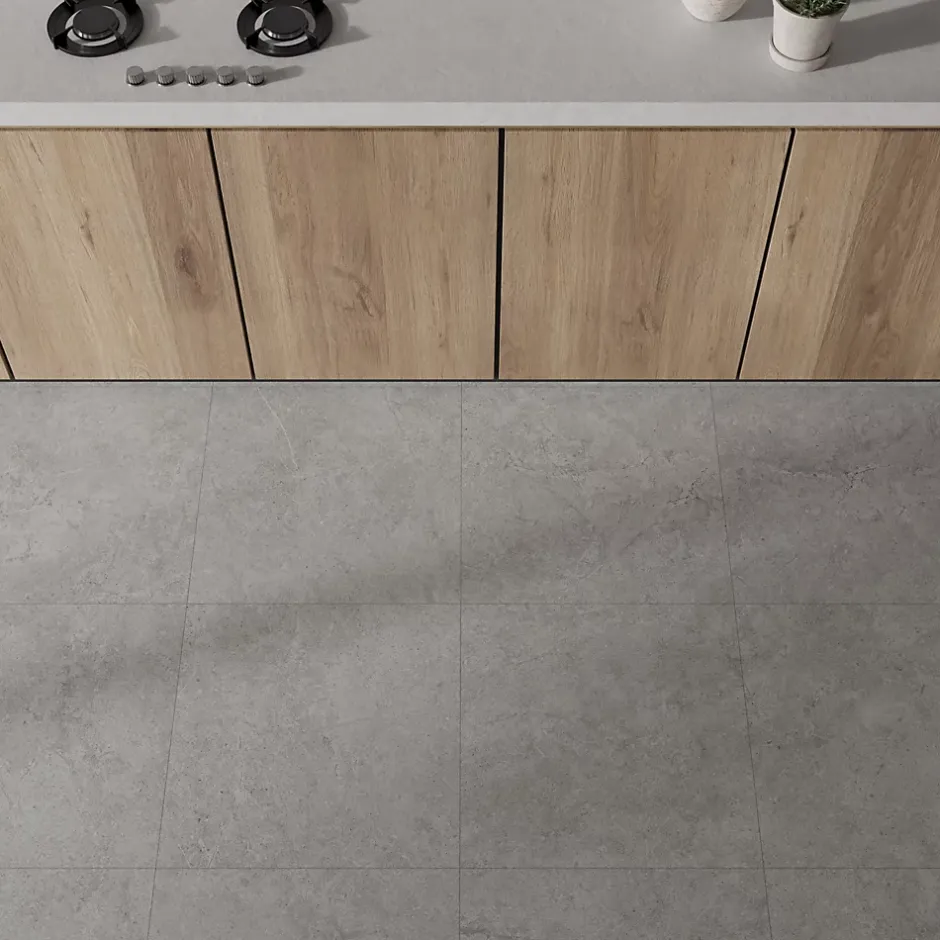 Ecoceramic Carrelage sol et mur intérieur en grès cérame émaillé effet pierre gris mat L.60 x l.60 cm x ép.8,5 mm, Basilea