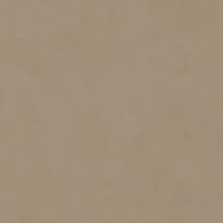 Aelle Carrelage Carrelage sol extérieur 20 mm dalle antidérapant effet béton ciré naturel 60x60 cm Boost natural ECRU