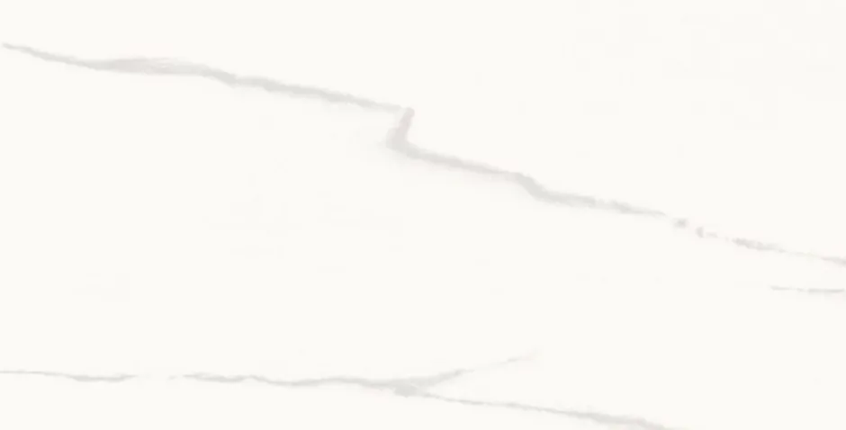 Carrelage sol/mur intérieur effet MARBRE l.60 x L.120 cm STATUARIO-Deco Prom Clearance