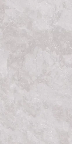 Carrelage Titanium Silver - Mat 120 x 60cm ( vendu par boite de 1,44 m² )-Cristacer Hot