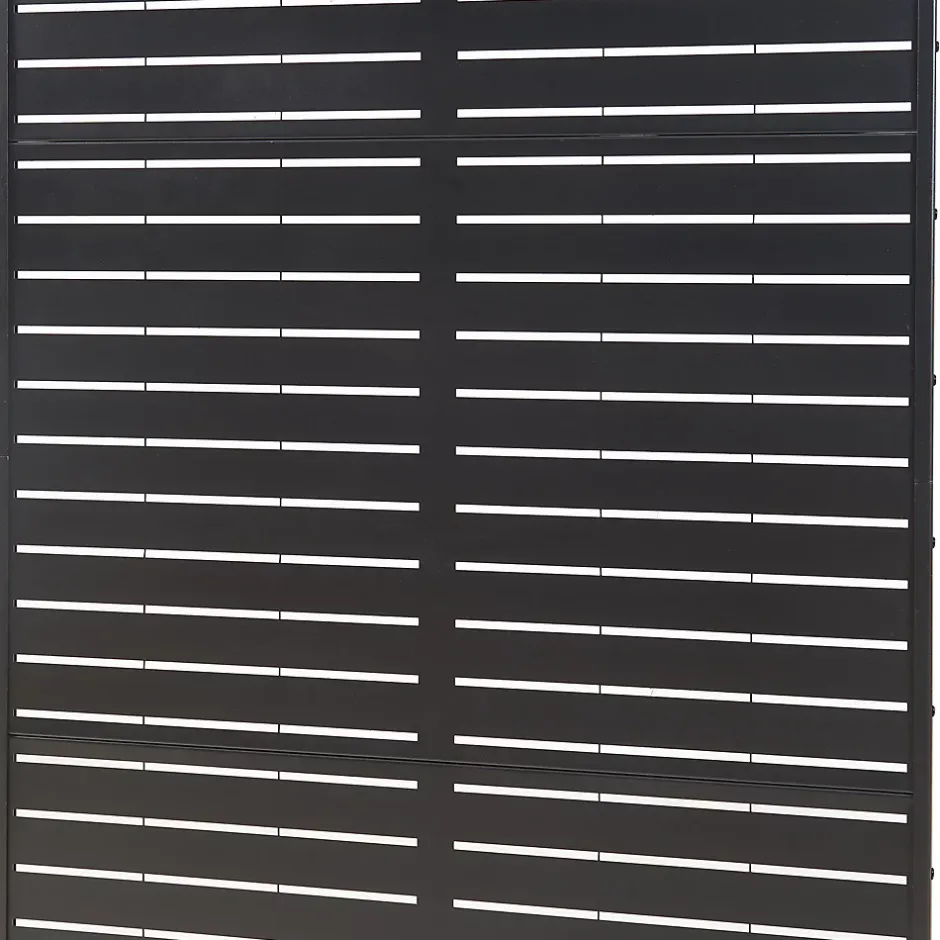 Casa.Pro Cloison de séparation Trolu acier 200 x 100 x 50 cm noir