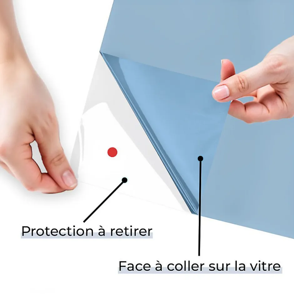 DIMEXACT - Film dépoli bleu adhésif - 75 cm x 10 m - en Rouleau