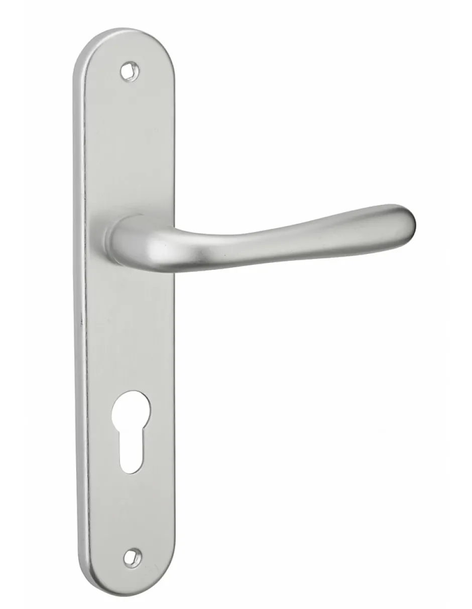 Thirard Ensemble de poignées pour porte d'entrée Pelope trou de cylindre, carré 7mm, entr'axes 195mm, argent -