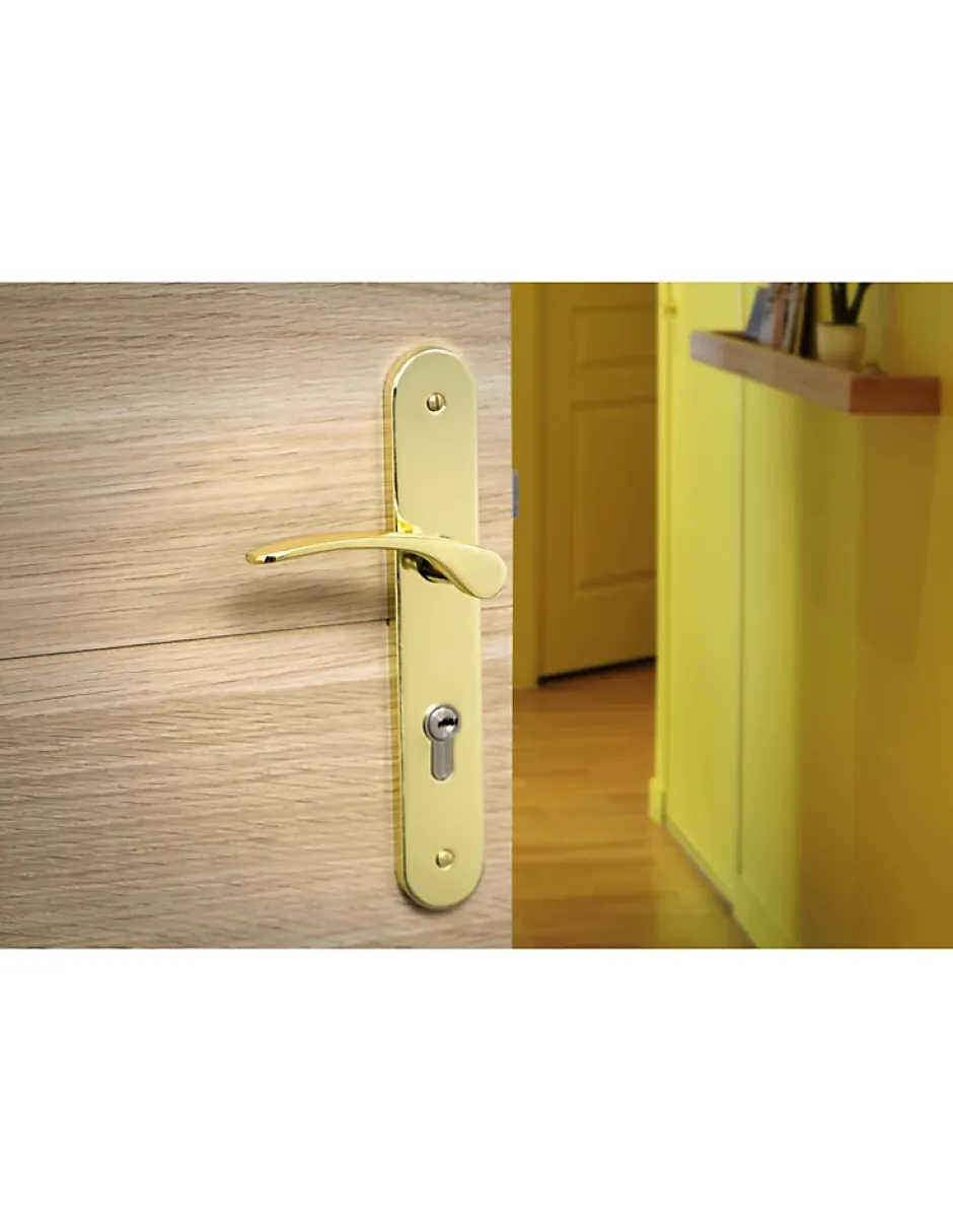 Thirard Ensemble de poignées pour porte d'entrée Dionysos trou de cylindre, carré 7mm, entr'axes 195mm, laitonné -