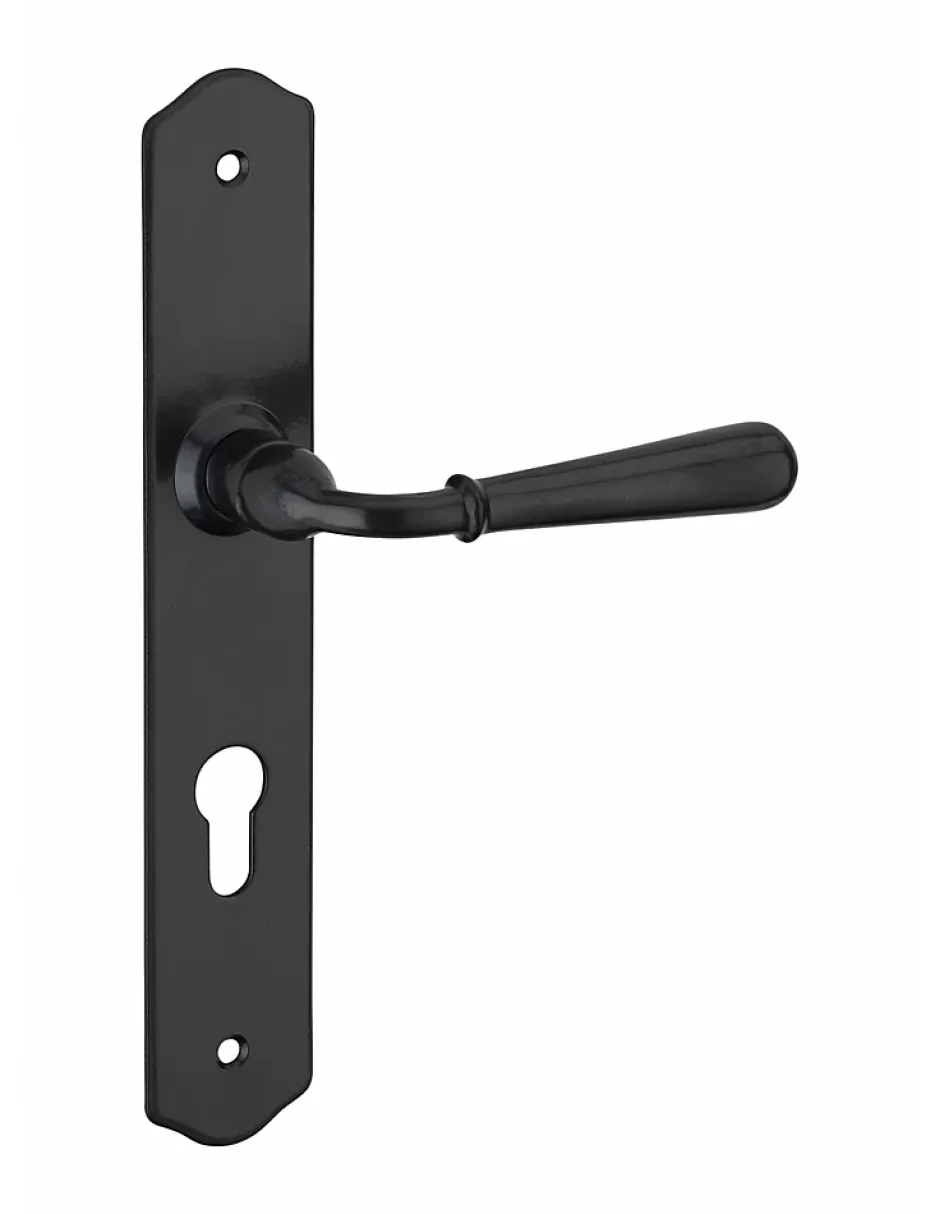 Thirard Ensemble de poignées pour porte d'entrée Charon trou de cylindre, carré 7mm, entr'axes 195mm, acier patiné -