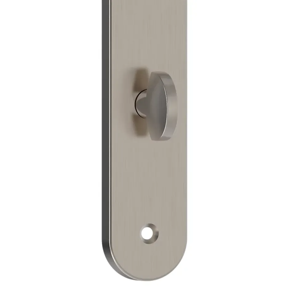 GoodHome Ensemble poignée sur plaque rond à condamnation Esles aluminium L.243 x l.40mm entraxe 195mm