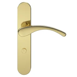 GoodHome Ensemble poignée sur plaque rond à condamnation Ruis effet laiton doré L.138.5mm x l.42mm entraxe 165-195mm