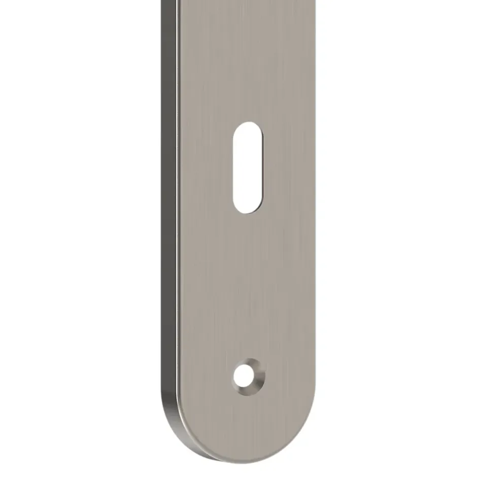 GoodHome Ensemble poignée sur plaque rond Esles aluminium L.243 x l.40mm entraxe 195mm