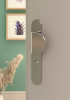 Ensemble poignée sur plaque rond Govlin effet nickel satin gris l.x l.40mm entraxe 195mm-GoodHome