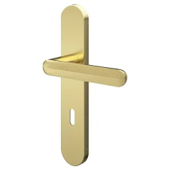 Ensemble poignée sur plaque rond serrure Garlan effet laiton satin doré L.125mm x l.42mm entraxe 165-195mm-GoodHome